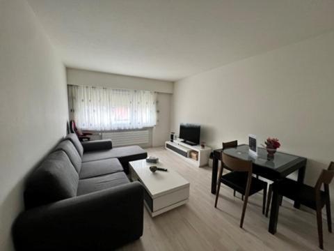 Beautiful 2.5 Room Apartment In לוצרן מראה חיצוני תמונה