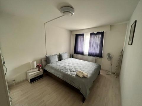 Beautiful 2.5 Room Apartment In לוצרן מראה חיצוני תמונה